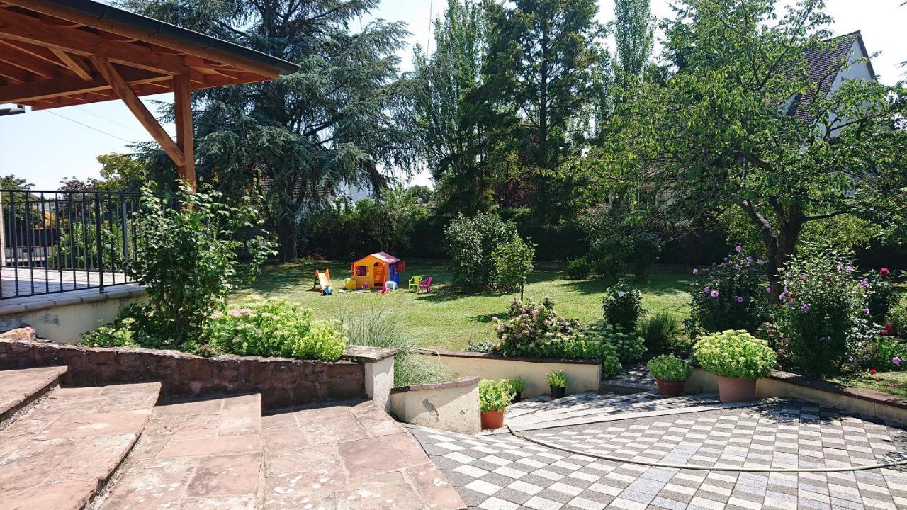 Logement Entier: Route Des Vins.Wintzenheim Apartment Luaran gambar